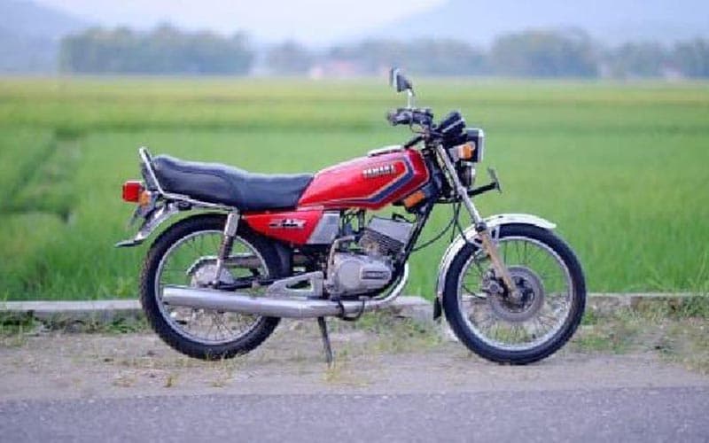 Rx King Cobra